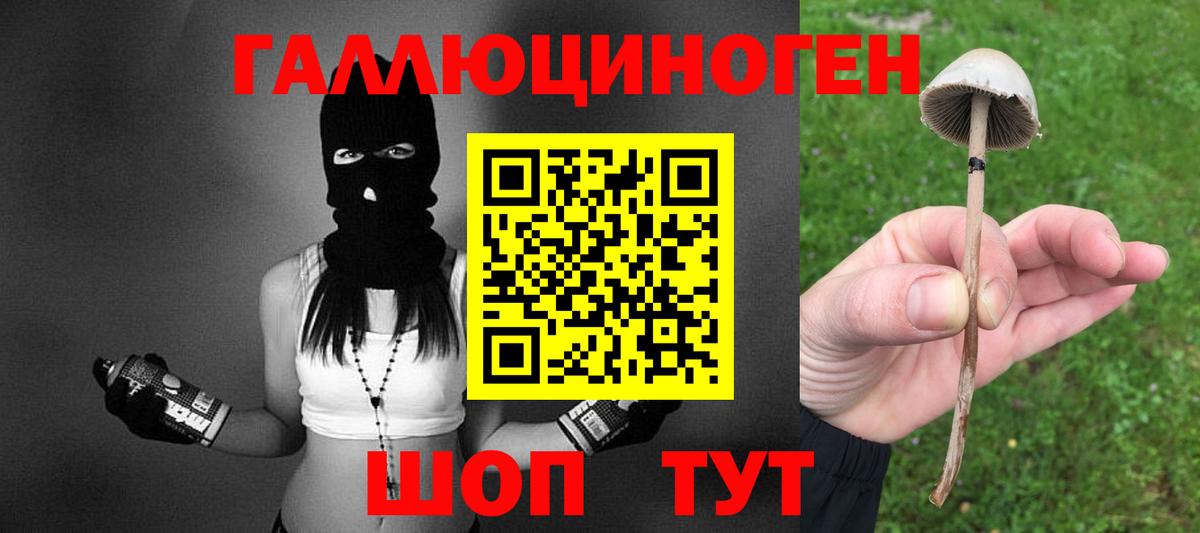 купить наркоту  Вход с VPN  Верхний Уфалей  Галлюциногенные грибы Cubensis 